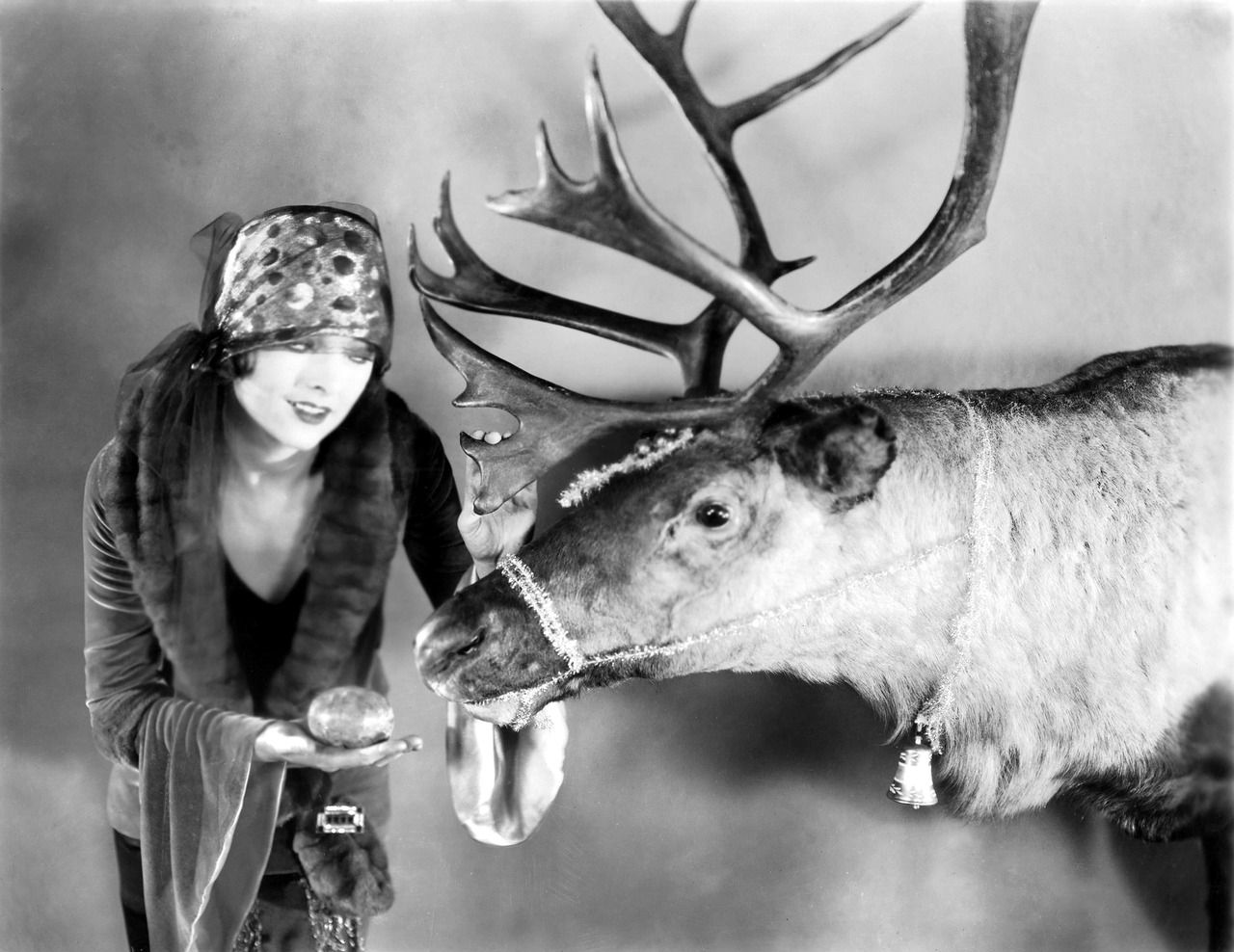 [XMAS+-+MYRNA.jpg]