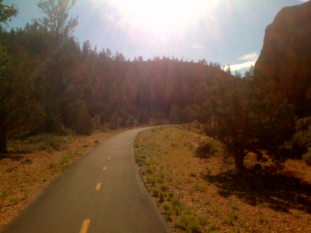[photo-720205.jpg]
