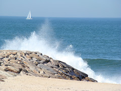 Um sonho de mar