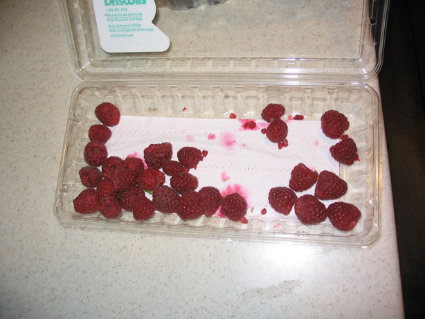 moldy raspberry