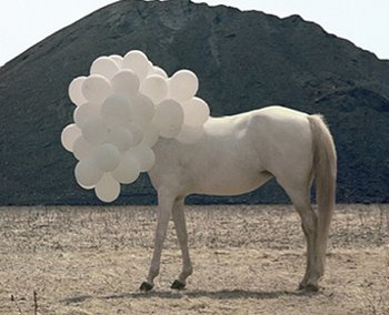 [cheval+blanc.jpg]