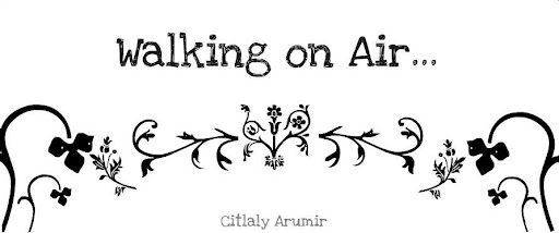 Walking on Air
