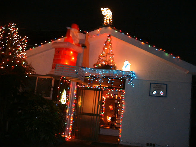 2007 Christmas Lights