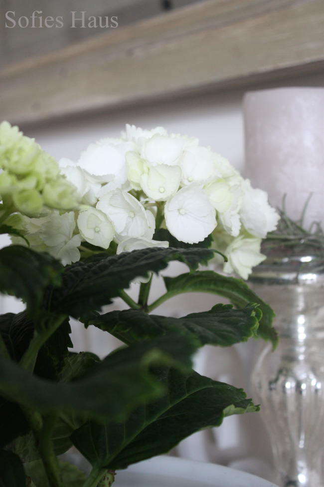 [Feb1910+022+Kopie.jpg]