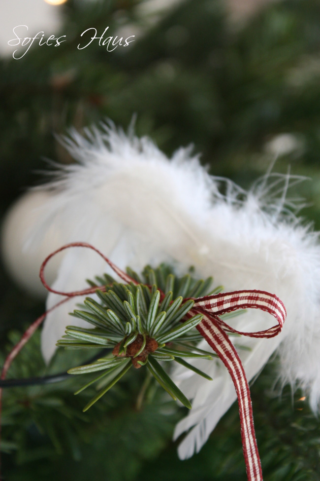 [wbaum09+147+Kopie.jpg]