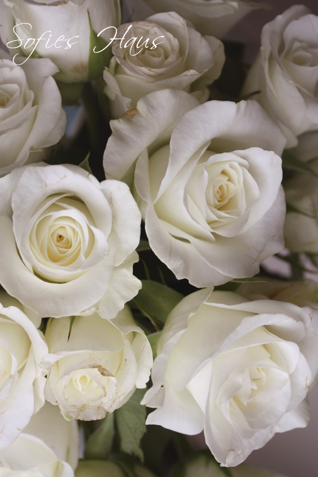 [blumenstrauß+003+Kopie.jpg]