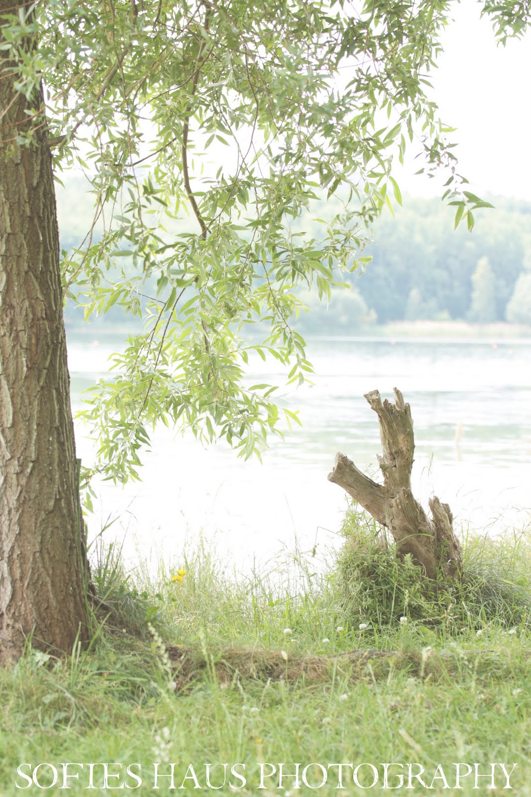 Burgerportal Bergisch Gladbach Nachrichten Hintergrunde Termine