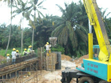 Mobile Crane  in work ( Road work )