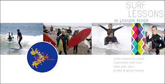 Surf lessons Laguna beach