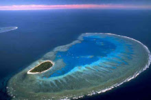 Lady Musgrave Island