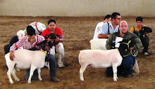 Participación 5ta Expo Ovinos. 13 de Junio 2009 Guadalupe N.L.