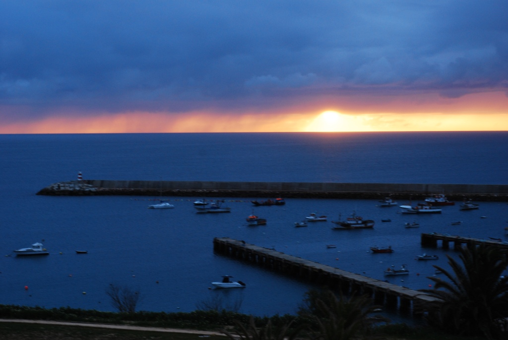 [DSC_0769.JPG]