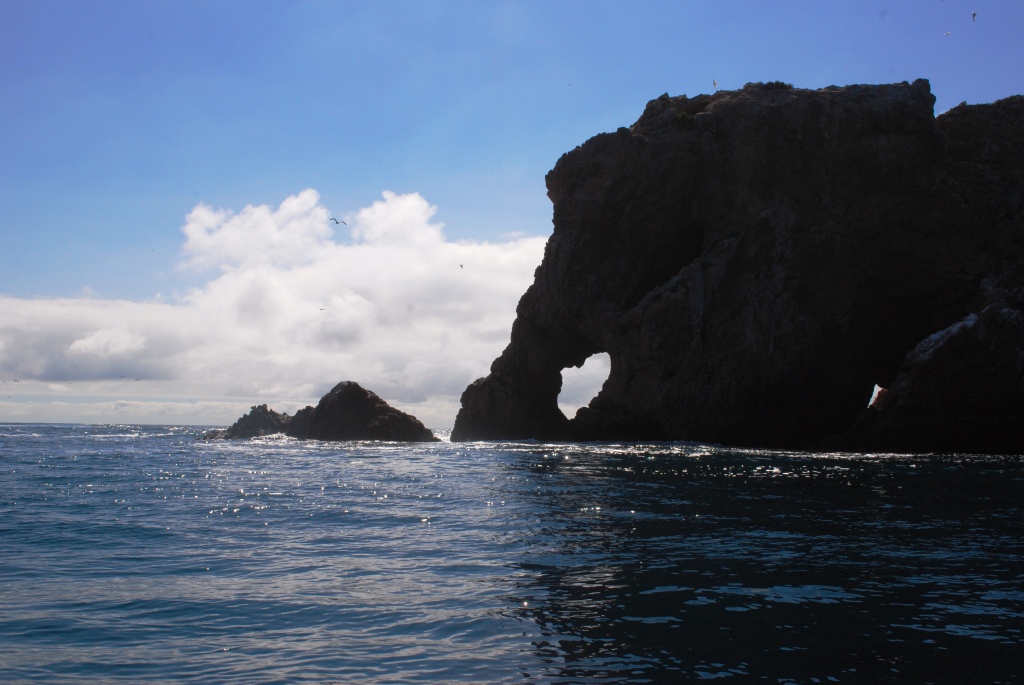 [DSC_0816.JPG]