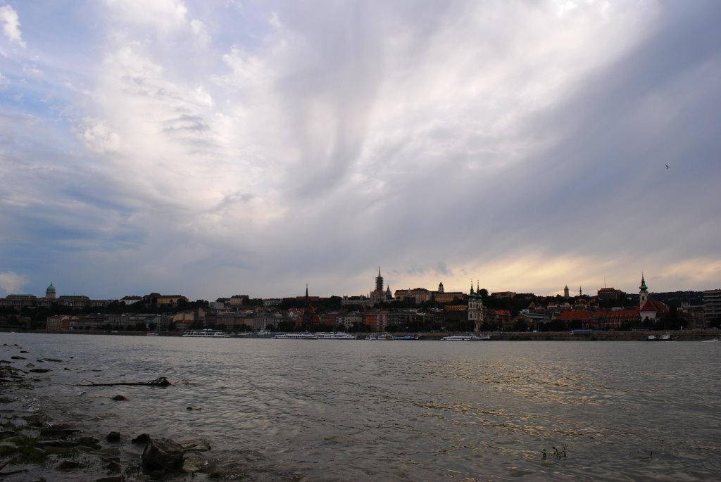 [DSC_0022.JPG]
