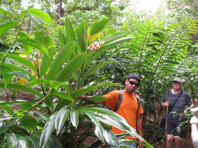 [Kilohana+Plantation+Tour+(Small).jpg]