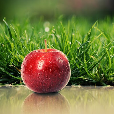 Apple and grass download free wallpapers for iPad