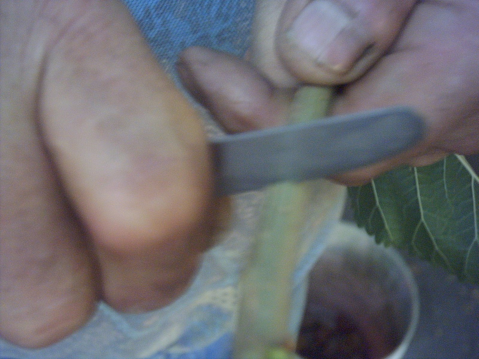 [PICT0009_1.JPG]