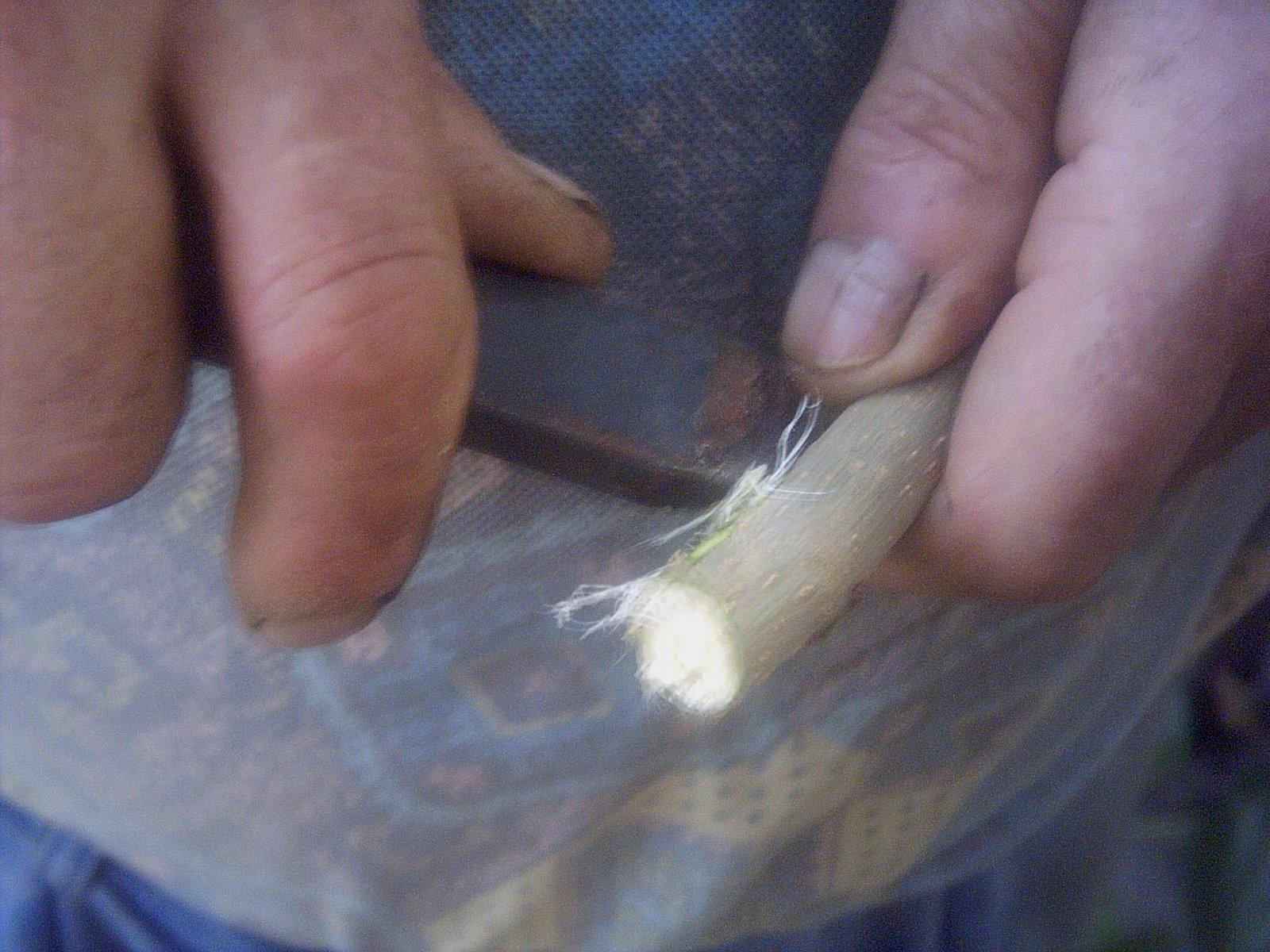 [PICT0006_2.JPG]