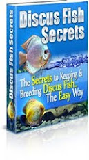 Download Free Discus Secrets