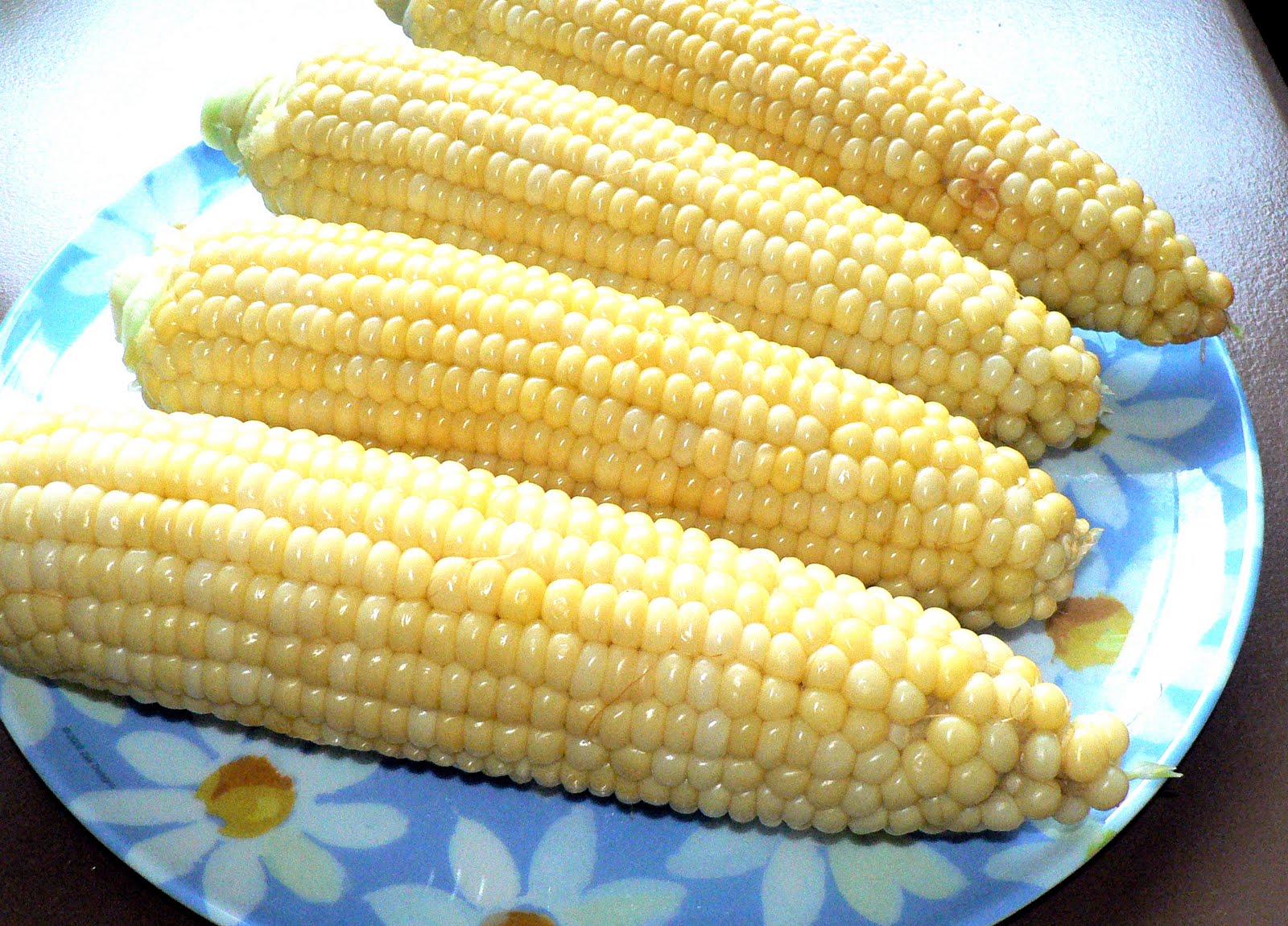 Plate Of Corn