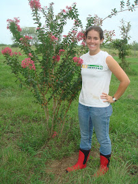 Crape Myrtle & Alicia