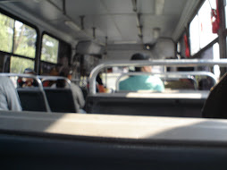 Train or bus