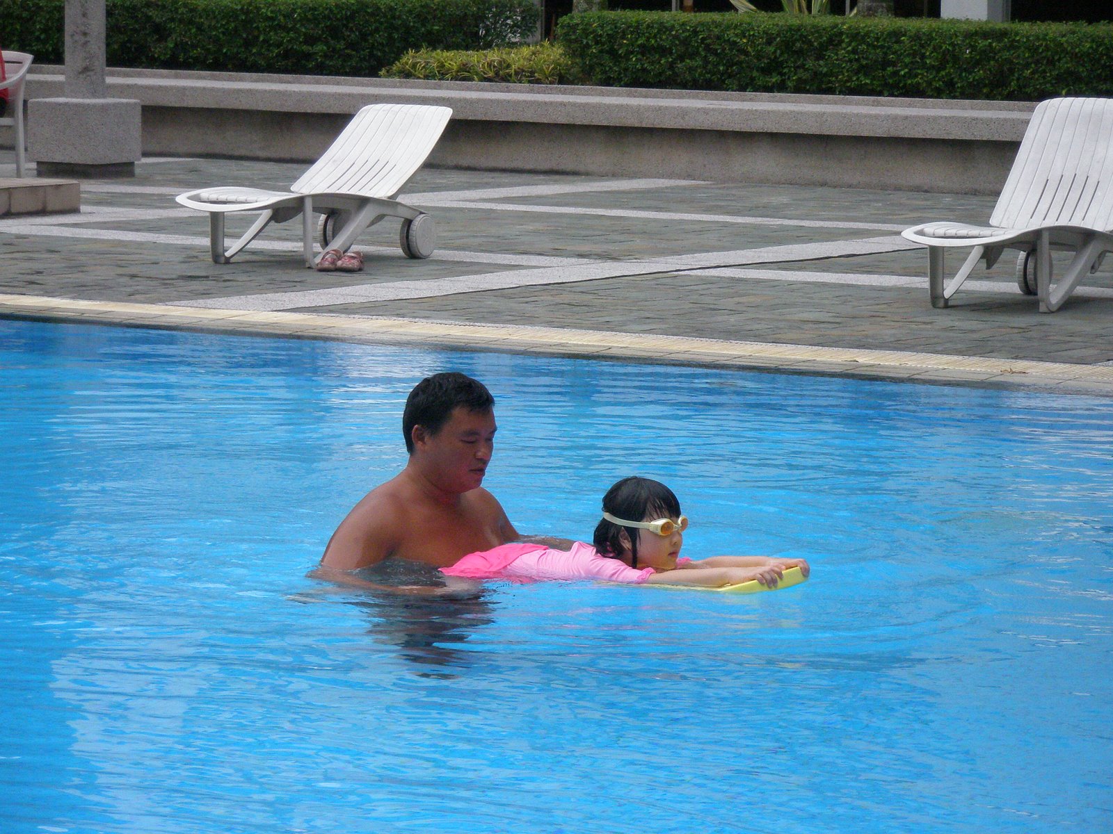 [Durian,+beetroot+sup,+bumblebee+vcd+013.jpg]