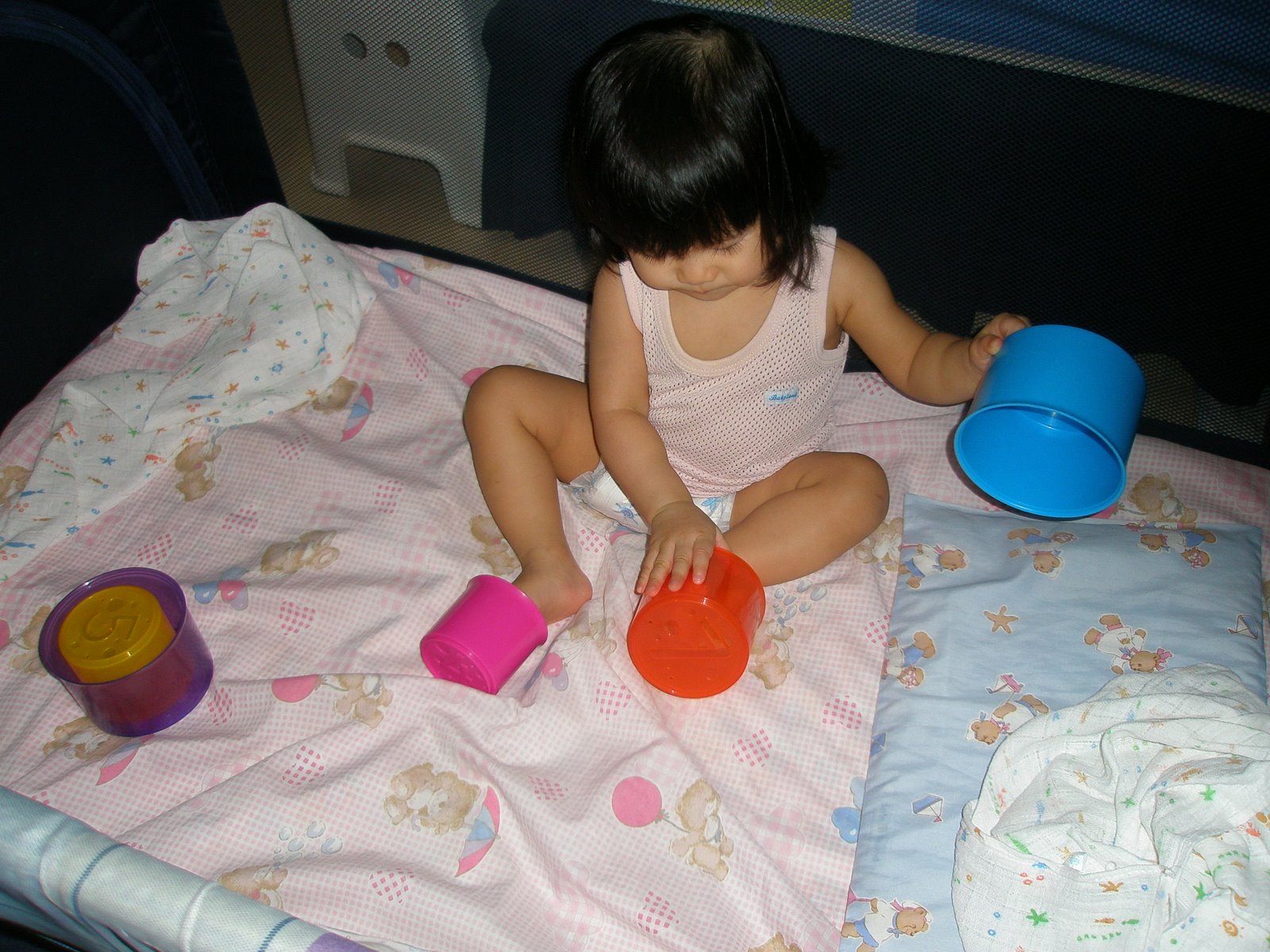 [Durian,+beetroot+sup,+bumblebee+vcd+009.jpg]