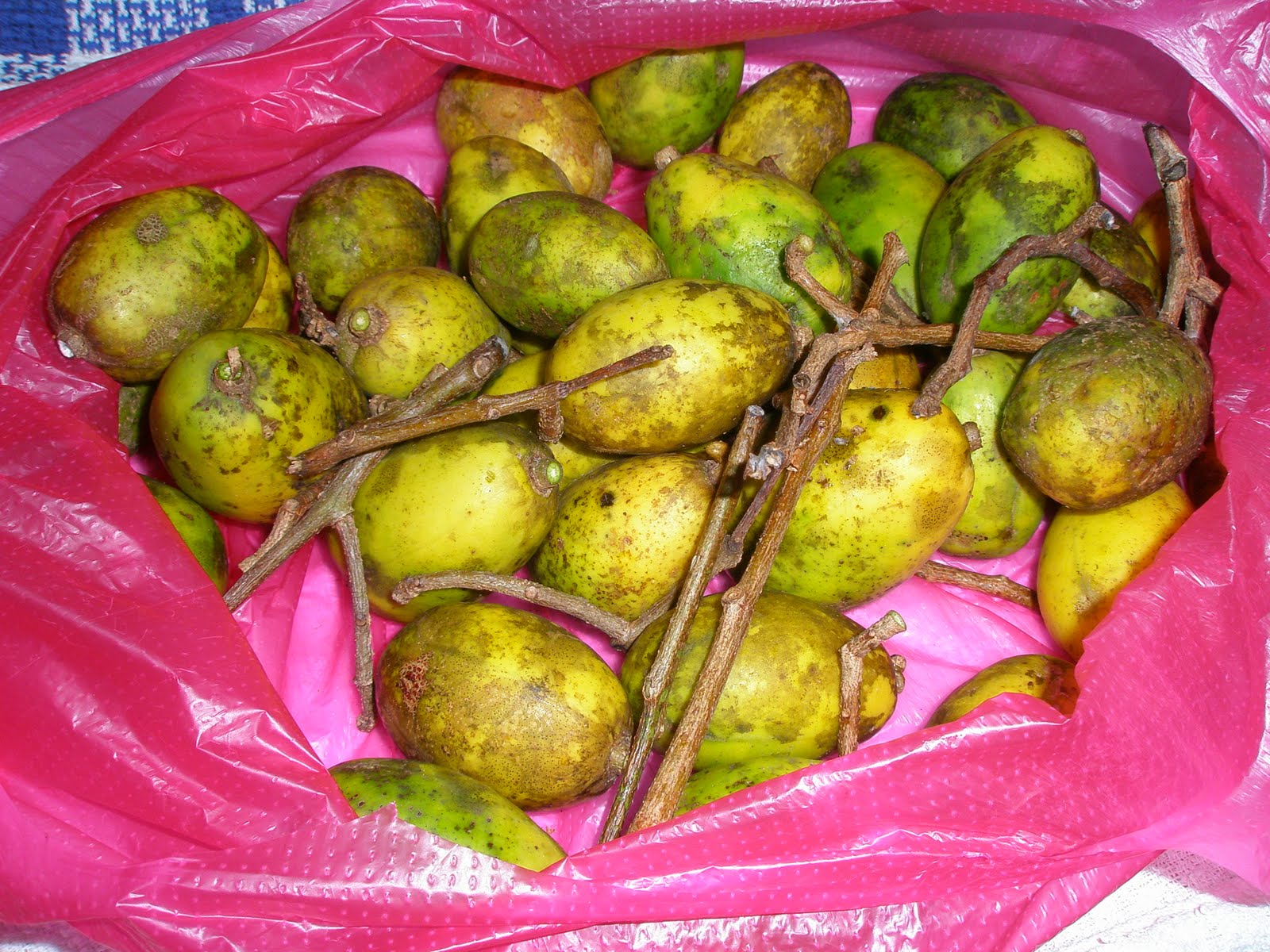 [Video+of+BB+C+rollcalling+015.jpg]