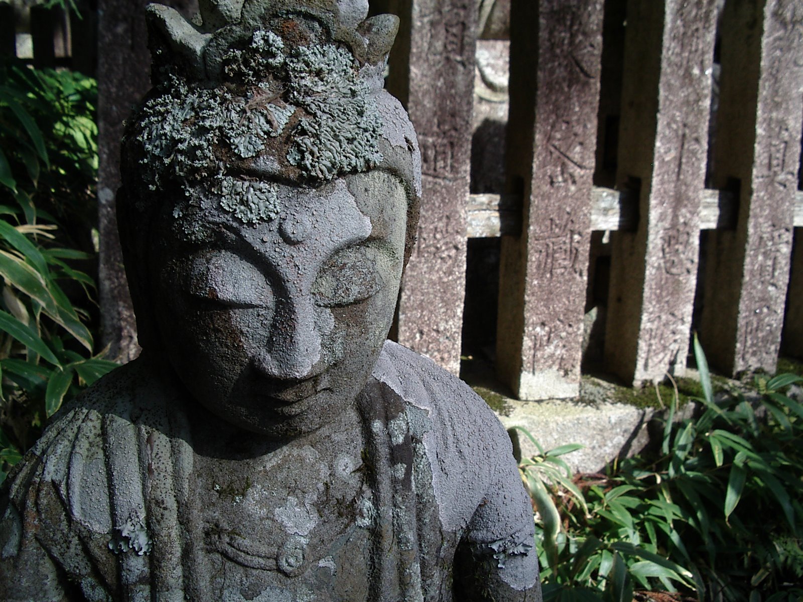 [IMGP0992.JPG]