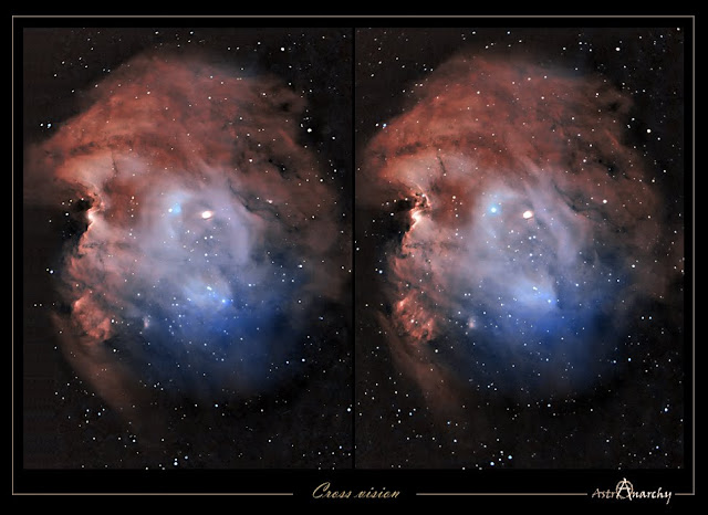 Parallel Vision
