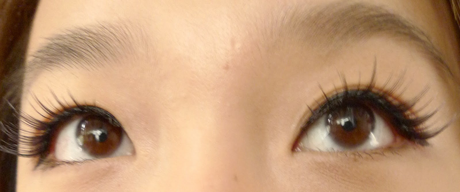 winnietsuii Review Dolly Wink Lashes 1 Dolly Sweet & Liquid Eyeliner