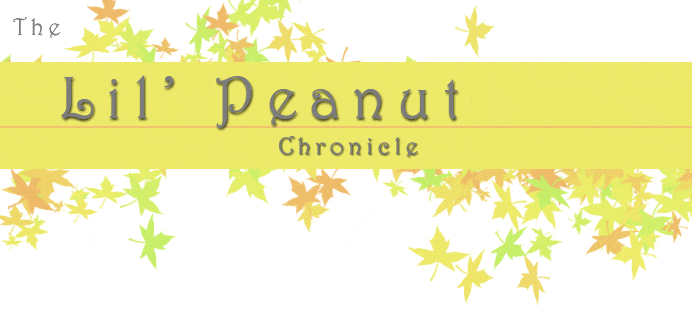 The Lil Peanut Chronicle