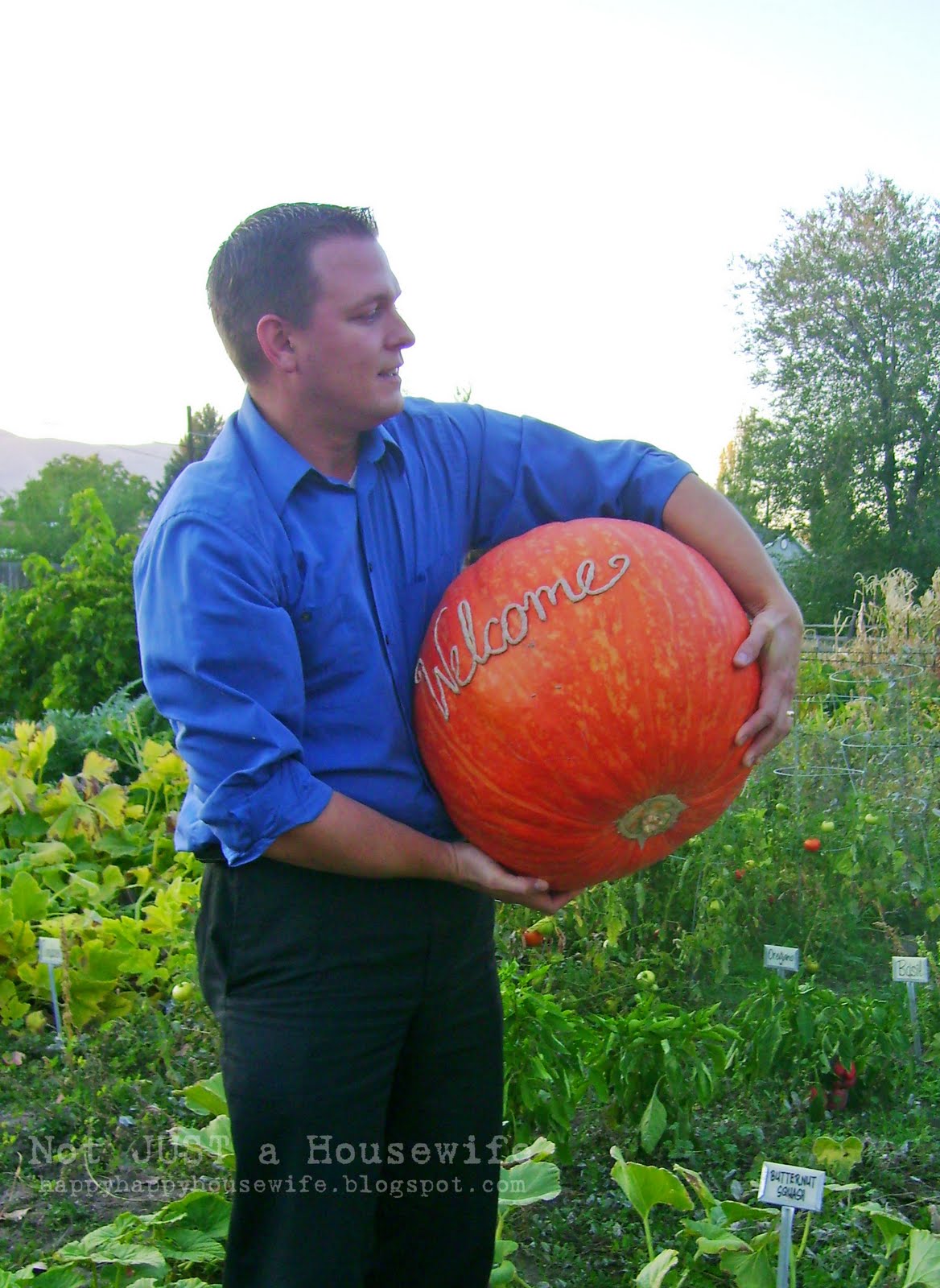 a different way to quot carve quot a pumpkin stacy risenmay a different way to quot carve quot a pumpkin stacy risenmay