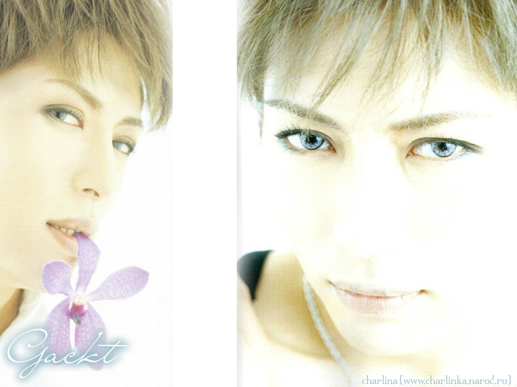 [wall_charlina_gackt001.jpg]