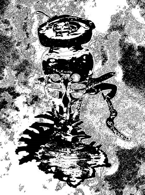 [shellbug.jpg]
