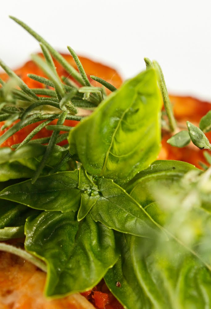 The Chubby Vegetarian Summer Herb Lasagna