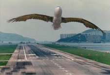 [mail.google.com.jpg]