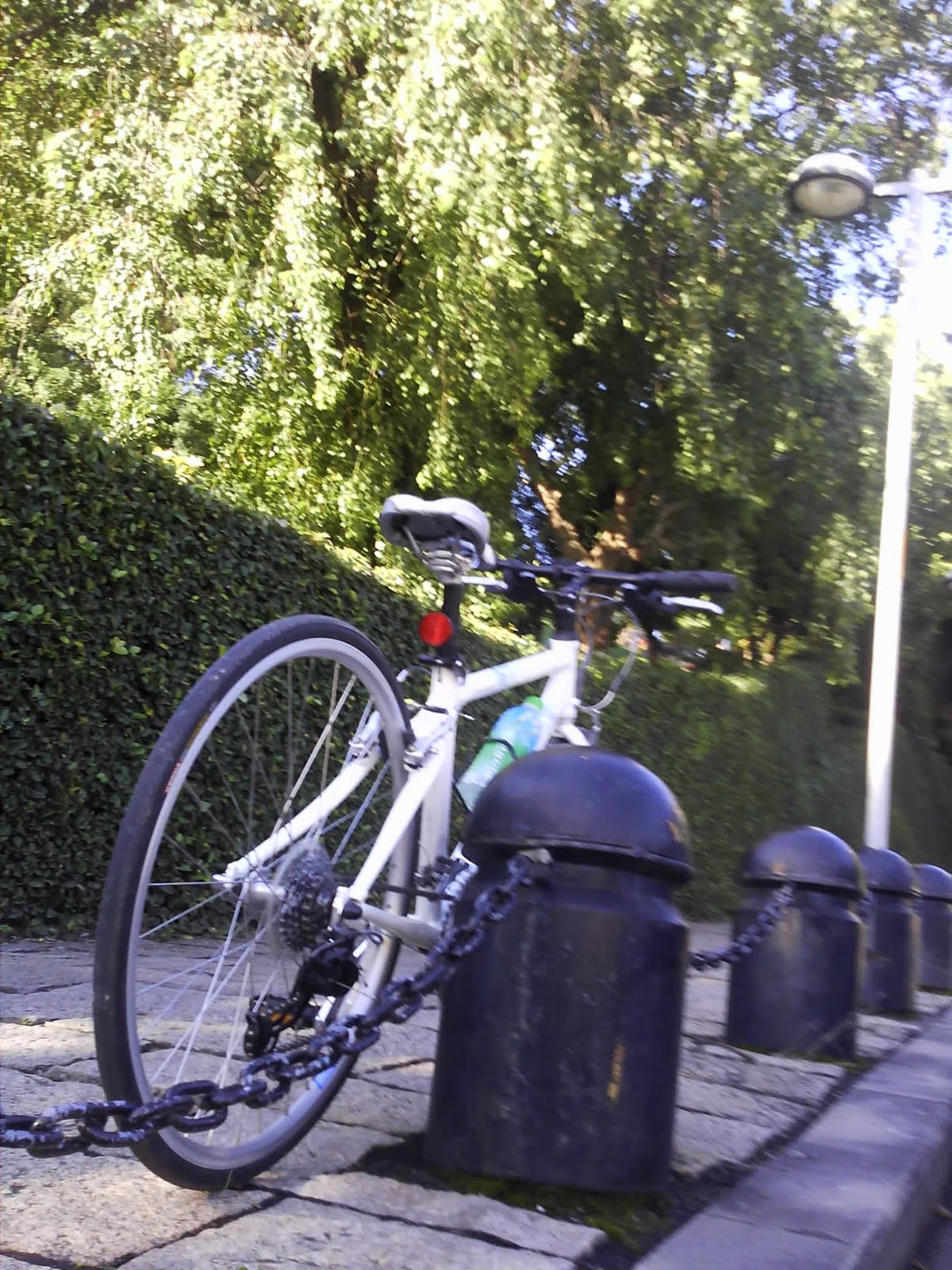 [Camera_20100109_153207.jpg]