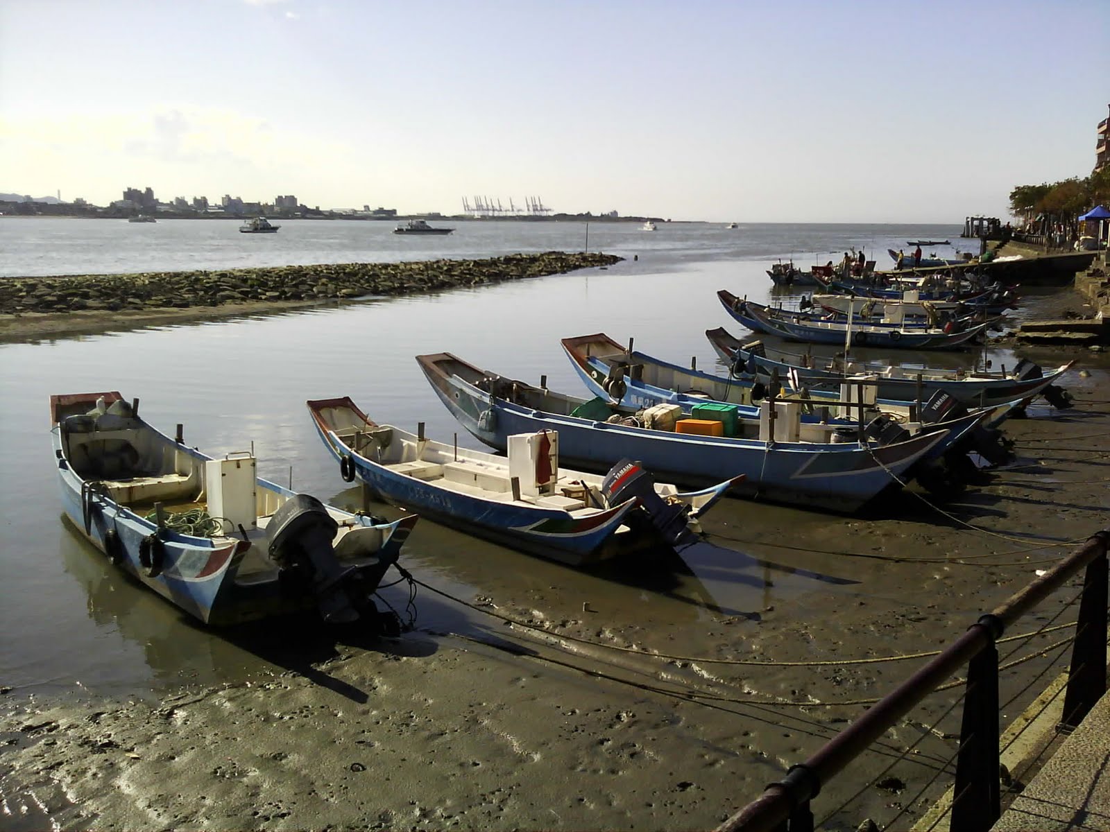 [Camera_20100109_141419.jpg]