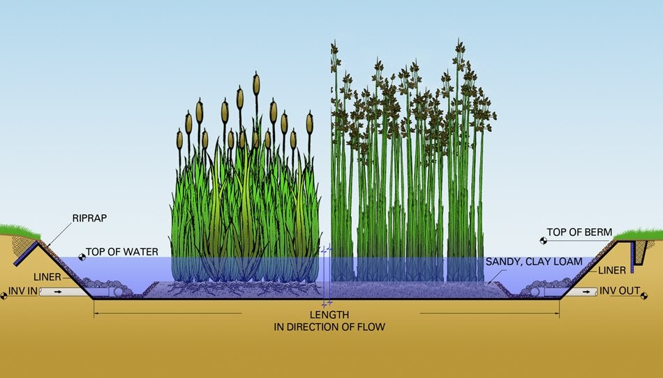 naturagarden Buat Taman Pengolah Limbah yuuk