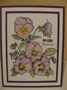 Pansy stamp colored in chalk