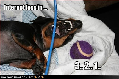 Internet%2BLoss.bmp