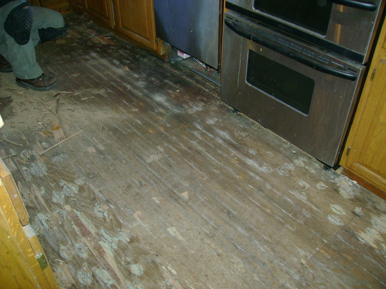 [floor.JPG]