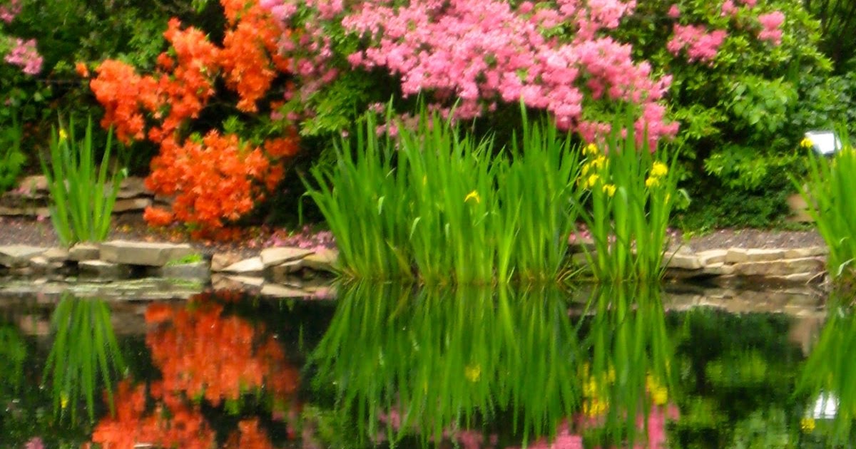 Cheesehead Gardening Foxfire Botanical Gardens Marshfield, WI