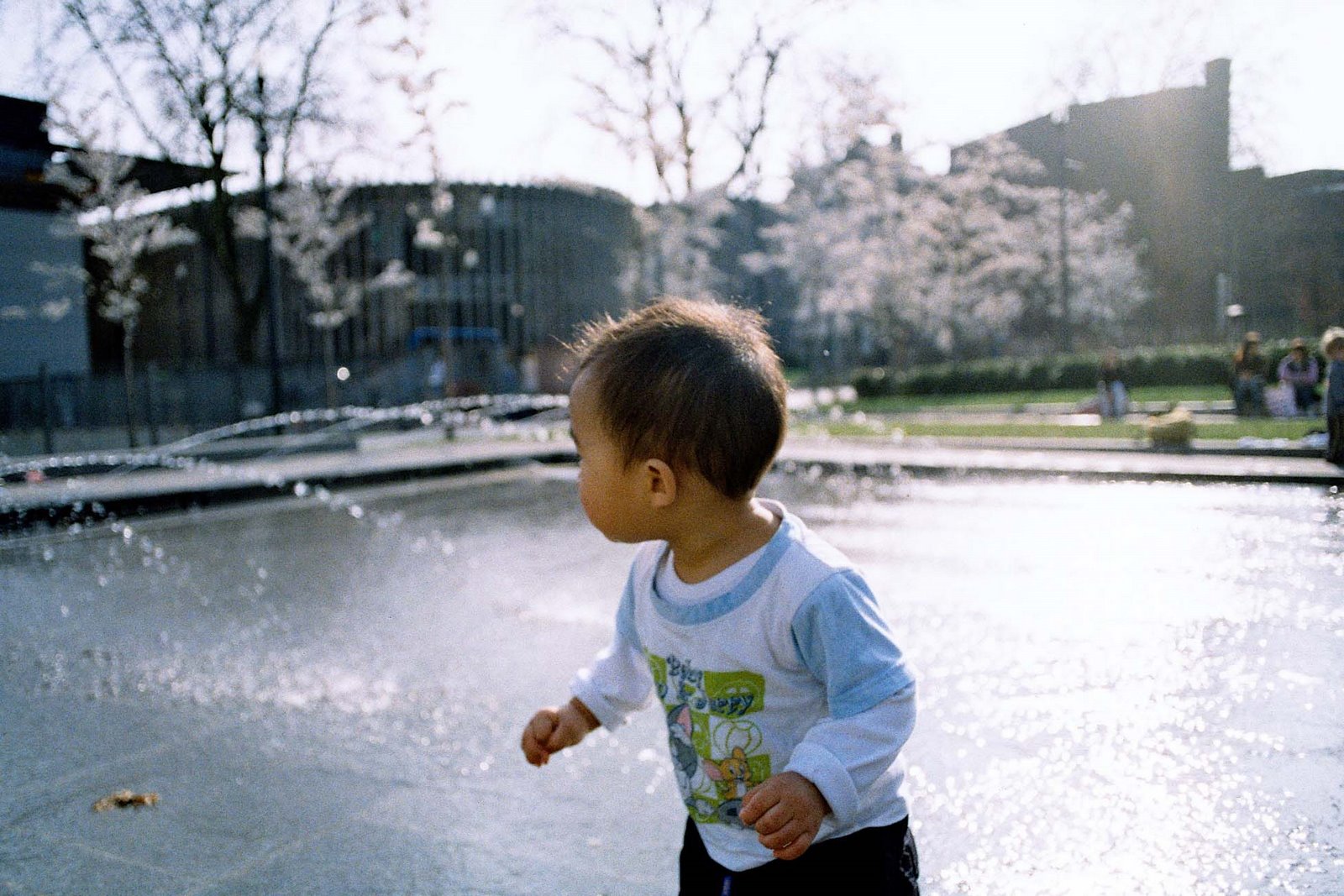 [Negative0-10-10(1).jpg]