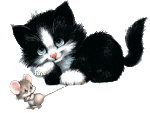 [334376.gif]