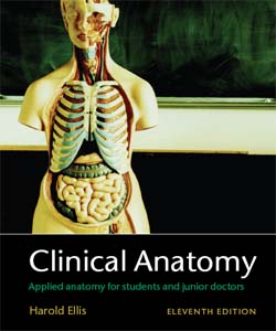 [Clinical+Anatomy.jpg]