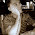 one_day avatar