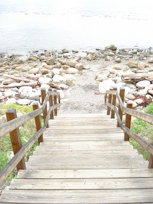 Behind My Red Door Last Weekend And This Weekend